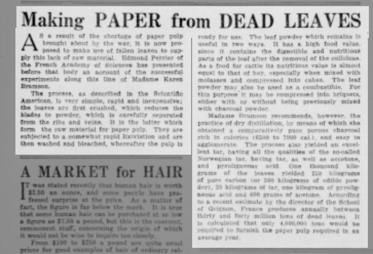 Вирізка із газети Sacramento Union, № 60, 29 червня 1919 р.